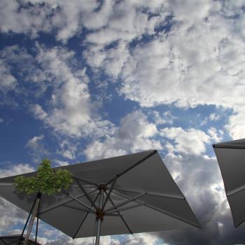 Sommer in Düsseldorf